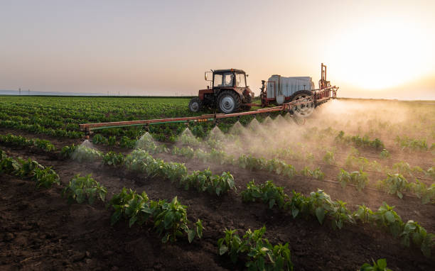 Best Cockroach Control Services  in Groton, SD