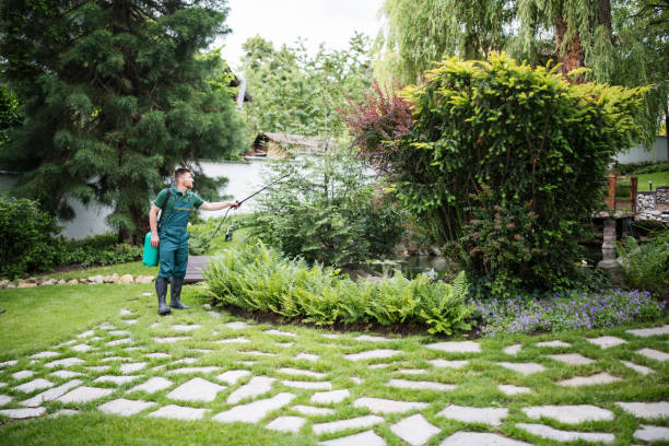 Best Pest Control Near Me  in Groton, SD