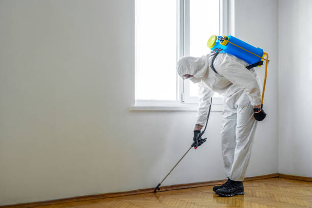 Best Termite Control Services  in Groton, SD
