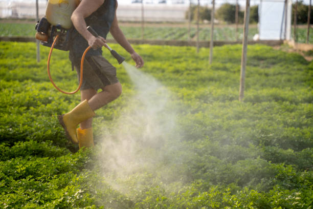 Best Residential Pest Control  in Groton, SD