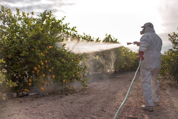 Best Spider Control Near Me  in Groton, SD