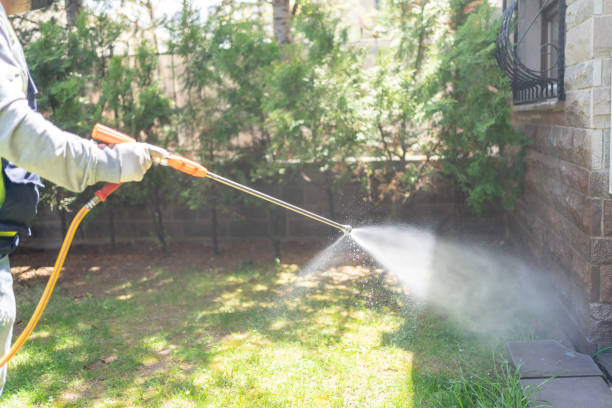Best Local Pest Control Services  in Groton, SD