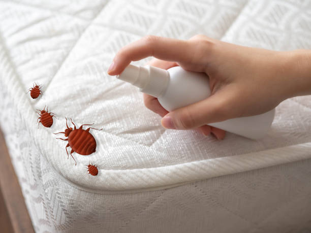 Best Pest Control for Restaurants  in Groton, SD