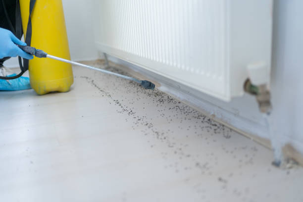 Best Commercial Pest Control Services  in Groton, SD