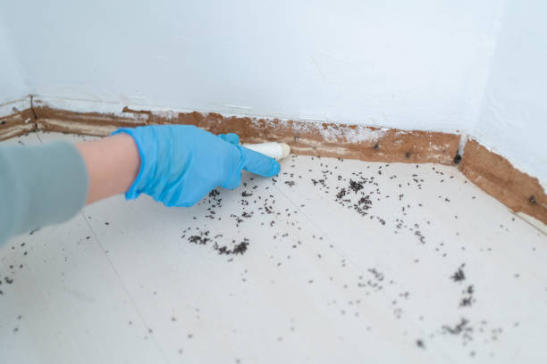 Wildlife Control Services in Groton, SD