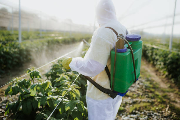 Best Pest Removal Services  in Groton, SD